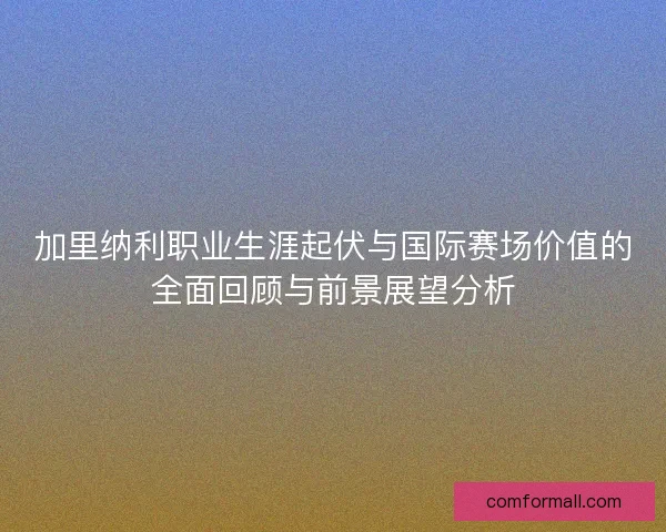 加里纳利职业生涯起伏与国际赛场价值的全面回顾与前景展望分析