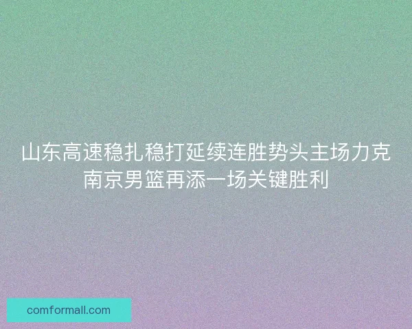 山东高速稳扎稳打延续连胜势头主场力克南京男篮再添一场关键胜利